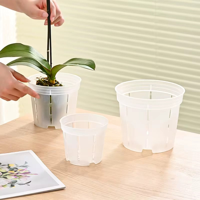 Set of 8 clear slotted pots