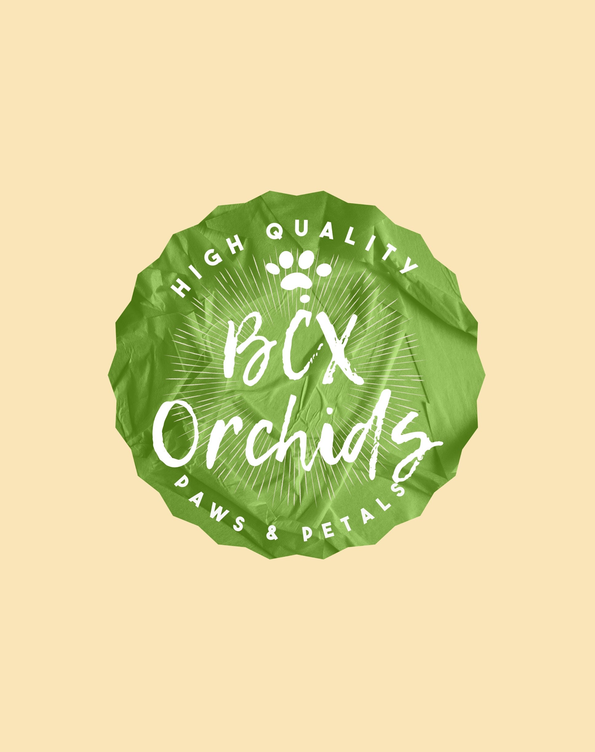 BCX ORCHIDS